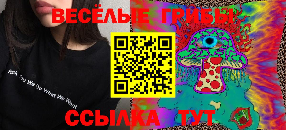 Гудермес  Галлюциногенные грибы Psilocybe  Вход с VPN 