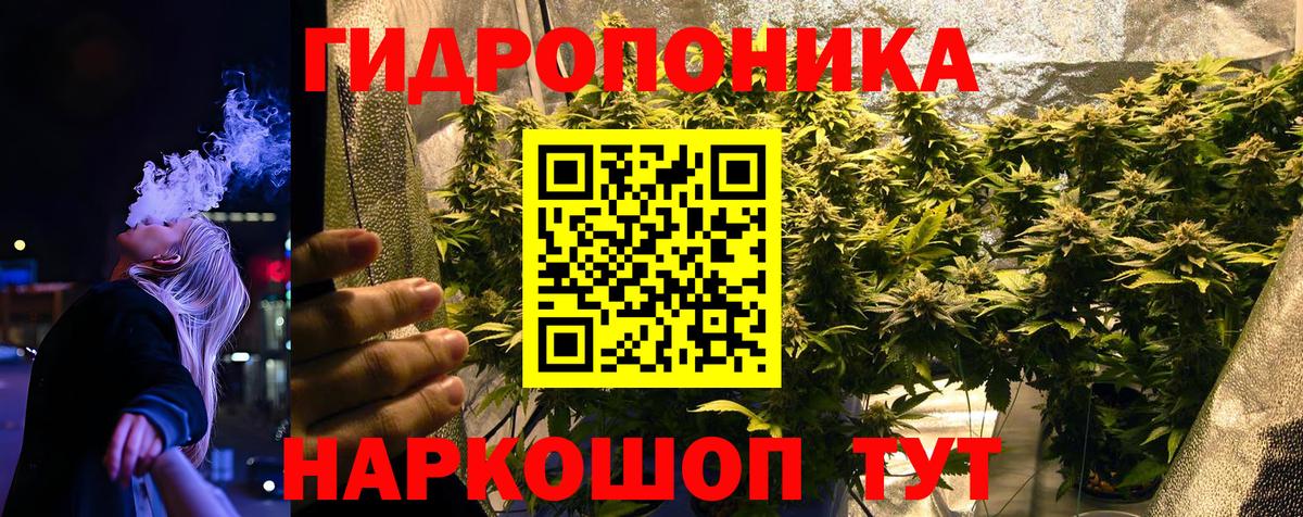 Гудермес  МАРИХУАНА Amnesia  Вход с VPN  Шишки марихуана план 